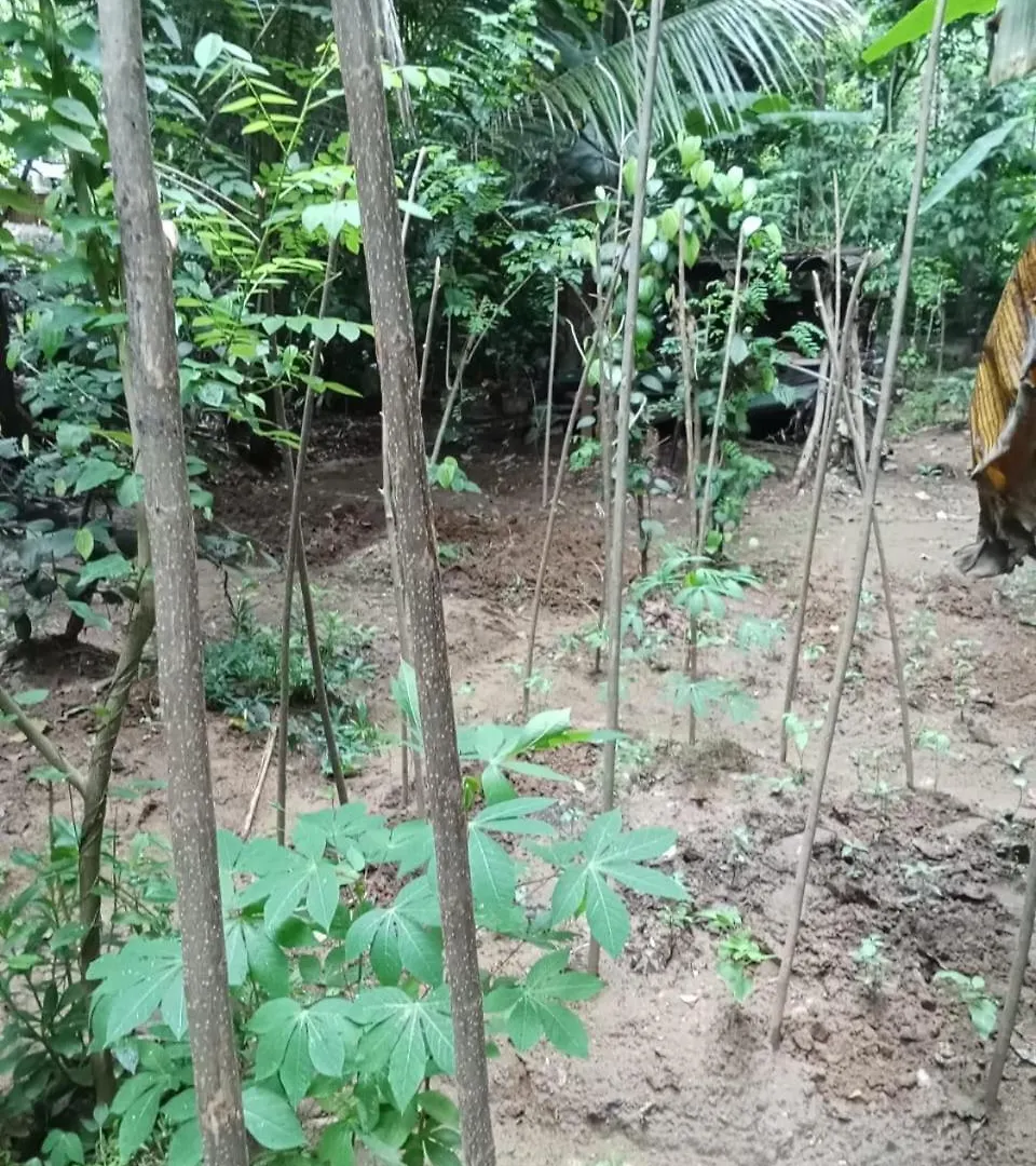 Sandu Villa Galkanda Watta Kandy