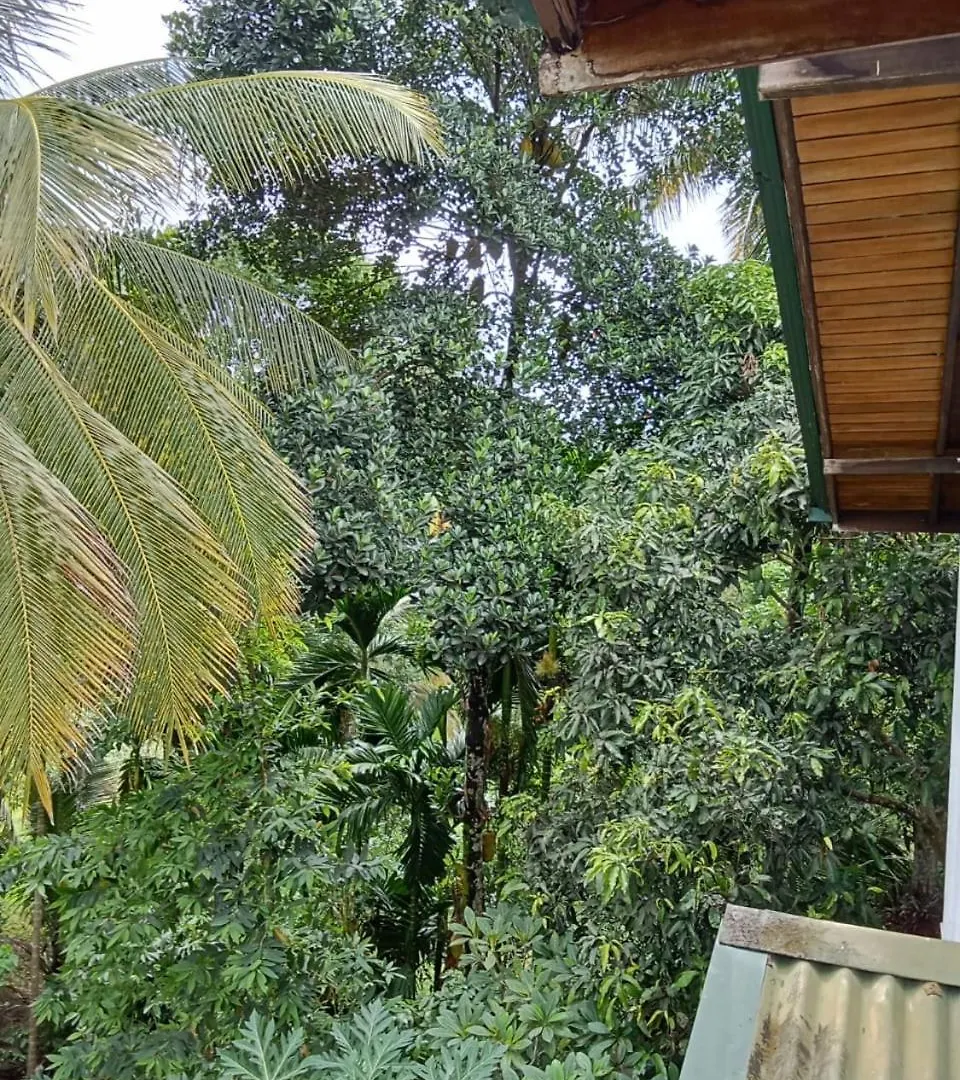 Sandu Villa Galkanda Watta Kandy