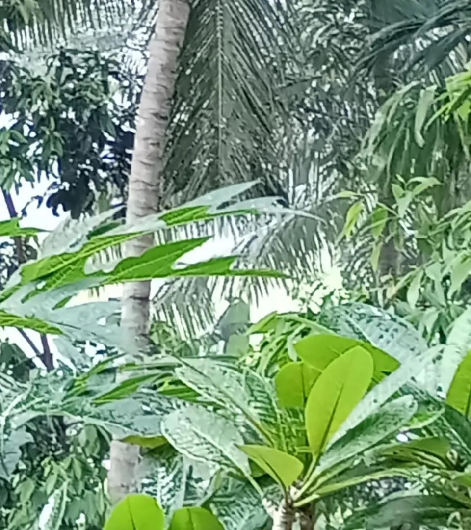Sandu Villa Galkanda Watta Kandy