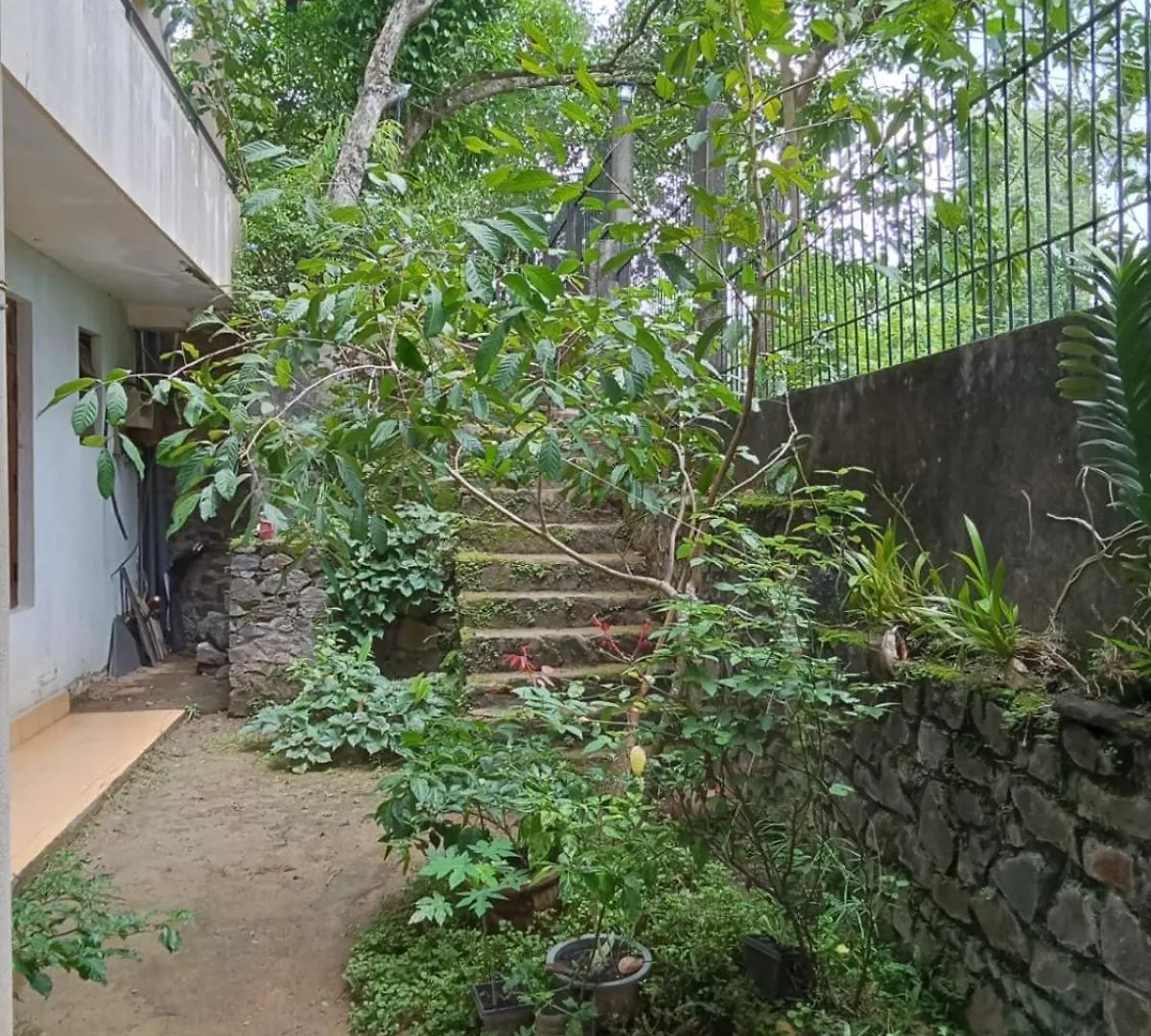 Sandu Villa Galkanda Watta Kandy Sri Lanka
