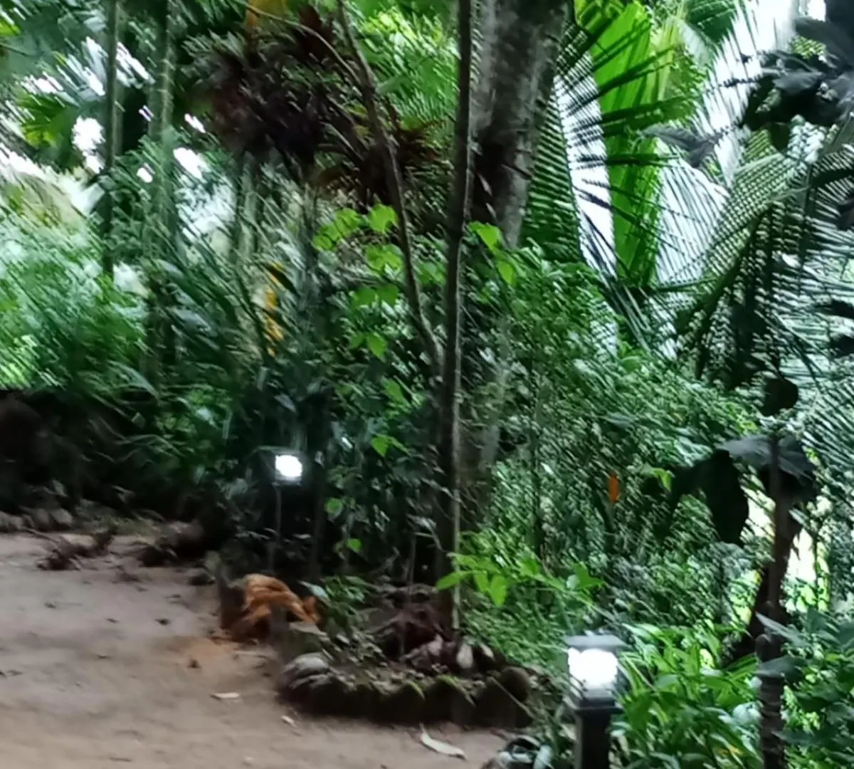 Sandu Villa Galkanda Watta Kandy