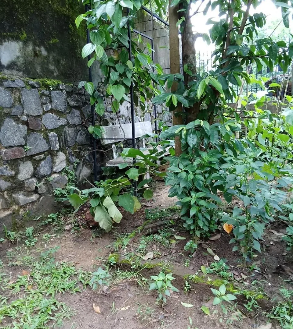 Sandu Villa Galkanda Watta Kandy